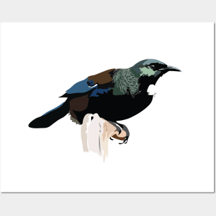 New Zealand Tui Posters and Art